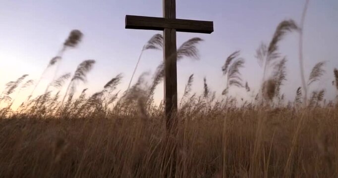 Wooden Christian Cross Silhouetted Against a Soft Sunset Sky in a Field of Reeds.