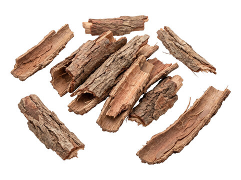 Natural Dried Arjun Arjuna Tree Bark PNG with Transparent Background