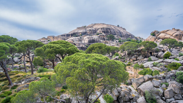 Rocky Granite Landscape with Stone Pine Trees Overcast Sky