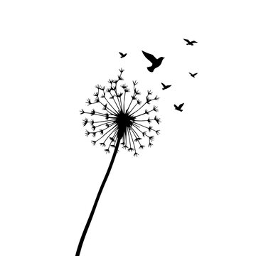 Dandelion seeds transforming into flying birds set with stylized botanical illustration featuring dandelion, seeds, birds, morphing, and flight with artistic abstraction and nature themes