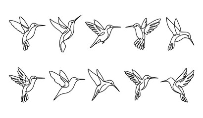 Obraz premium Hummingbird One Line Drawing Vector Collection Minimal Continuous Line Bird Art