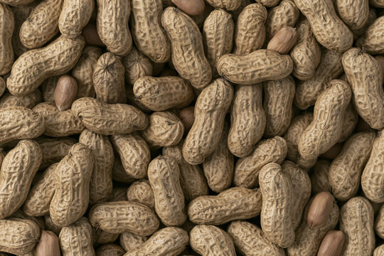 Groundnuts in shell with peeled peanut kernels texture background