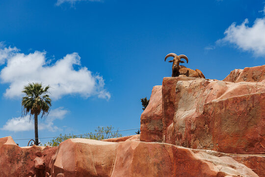 A Barbary sheep (aoudad) rests on an artificial red rock formation against a blue sky with clouds and a palm tree, at Alexandria Zoo, Egypt, June 15, 2026.