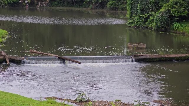 A river stream with flowing water.