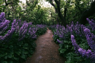 Obraz premium A natural unpaved path winding through a lush woodland garden with vibrant purple flowers