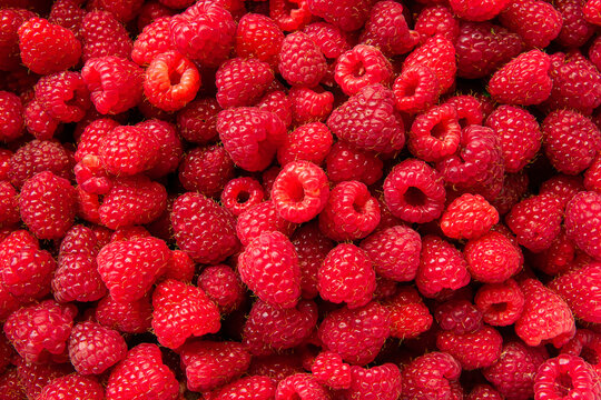 Fresh ripe raspberries arranged densely to form a natural organic pattern | Świeże, dojrzałe maliny ułożone gęsto, tworzące naturalny, organiczny wz&oacute;r