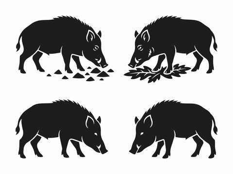 Silhouettes of two wild boars foraging on the ground in a natural environment, black and white vector illustrations