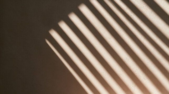 Shadow of Window Blinds on Warm Neutral Wall