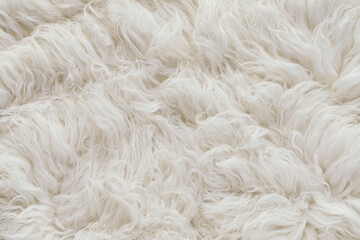 Texture background of white long hair sheepskin fur rug © Clint