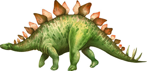 watercolor dinosaur stegosaurus on white background © rey