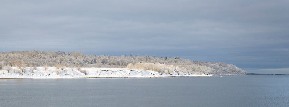 Snow covered forest shore near open river in winter, panoramic northern landscape with copy space