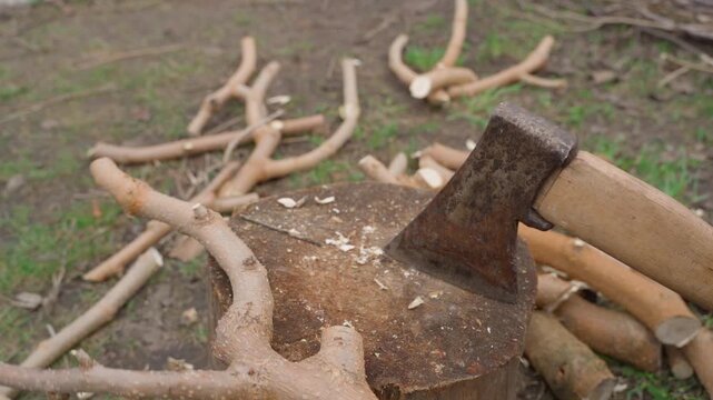 Chopping tree branches with axe on wooden stump in yard