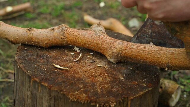 Chopping tree branches with axe on wooden stump in yard