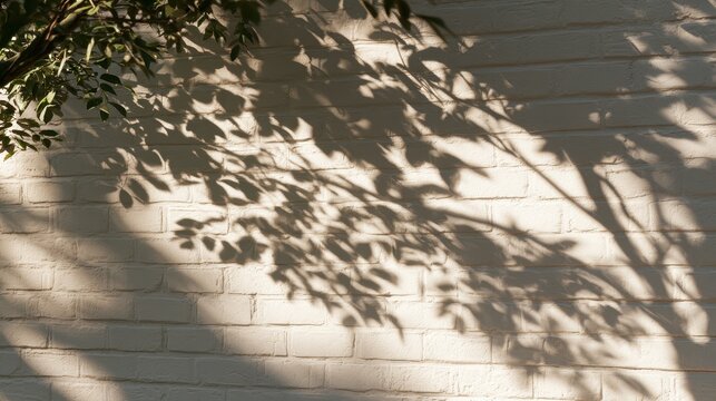Tree leaves casting shadows on a white painted brick wall
