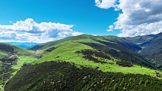 Aerial drone shot of lush green rolling hills and meadows under a blue sky with fluffy white clouds in Western Sichuan, China