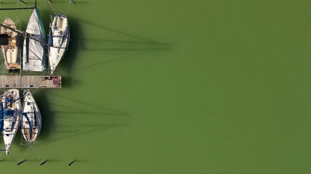Top-down aerial view of sailboats and yachts moored along a marina dock, with long geometric mast shadows stretching across green water.