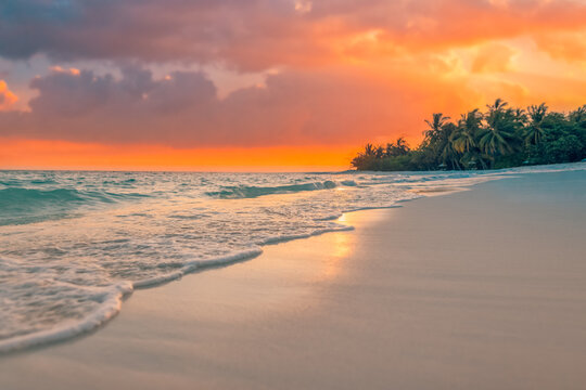 Tranquil waves sand dramatic orange sunset tropical beach palm silhouette glowing ocean stunning sky. Perfect summer travel landscape paradise. Warm romantic coastal getaway scenic nature background