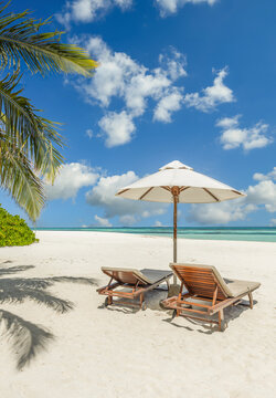 Romantic beach umbrella sunbeds palm trees sunny ocean sand blue sky. Perfect summer vacation travel landscape resort. Luxury honeymoon getaway relax scenic paradise, happy together love background