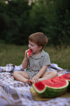 Cute little boy sitting on picnic blanket and eating juicy watermelon slice