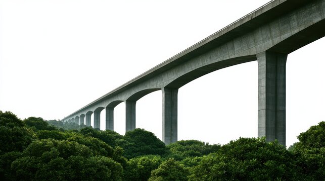 Long elevated concrete highway bridge with arched supports over a forest isolated on white background