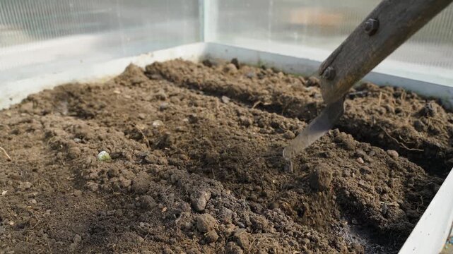 Working with hand hoe on garden bed in greenhouse close-up. Sowing seeds