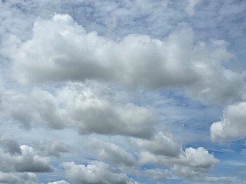 Cloudscape Symphony: A vast expanse of the sky filled with fluffy white cumulus clouds scattered against a brilliant blue backdrop, suggesting a pleasant day and a sense of calm.