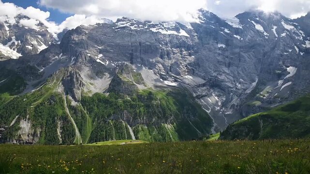 Wildflower meadow overlooking dramatic rocky alpine peaks, green valleys and lingering summer snow near Birg, Switzerland.