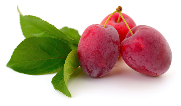 Red plums with green leaves isolated on white background.