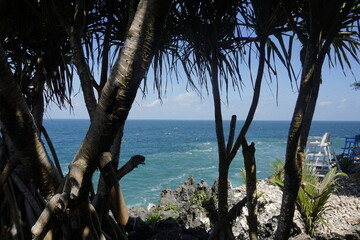 Beautiful view of blue ocean water framed by tropical screwpine trees on a sunny summer day © KAKA2929