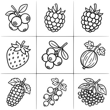 Set of various berries, black and white coloring page