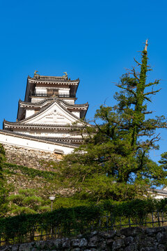 Original castle tower of Kochi Castle illuminated by morning light in Kochi Prefecture, Japan.