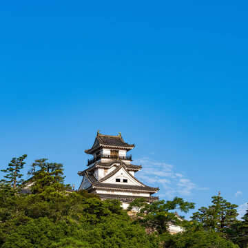 Original castle tower of Kochi Castle illuminated by morning light in Kochi Prefecture, Japan.