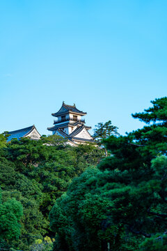 Original castle tower of Kochi Castle illuminated by morning light in Kochi Prefecture, Japan.