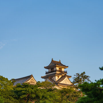 Original castle tower of Kochi Castle illuminated by morning light in Kochi Prefecture, Japan.