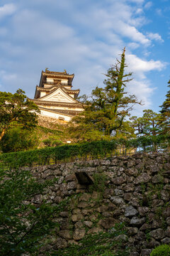 Original castle tower of Kochi Castle illuminated by morning light in Kochi Prefecture, Japan.