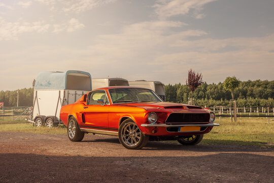 Vintage American muscle car parked at the horse farm on a sunny day. Retro style driving.
