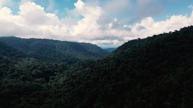 Aerial View of Forested Tropical Mountain Valley in Ecuador with Rounded Green Hills, Cloudy Sky and Remote Andean Amazon Wilderness Landscape