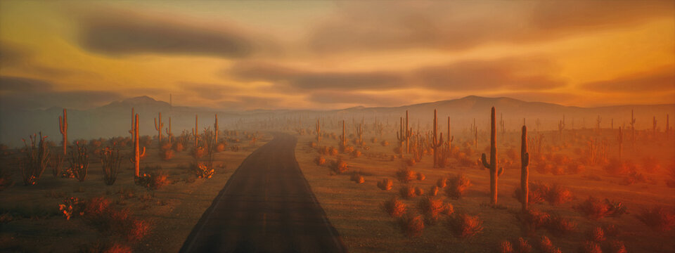 Empty road in desolate desert landscape with succulent plants during sunset under a sky wih clouds. 3D render.