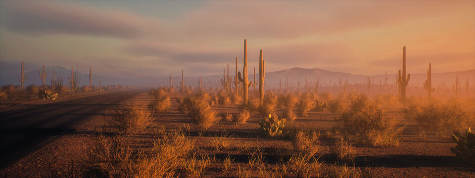 Empty road in desolate desert landscape with succulent plants during sunset under a sky wih clouds. 3D render.