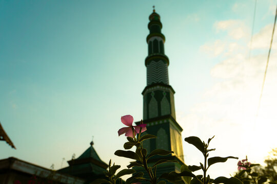 Soft light bathes a green minaret. Pink flower blooms in foreground. Sky glows gold, clouds wispy. Silhouetted tower stands tall. Calm peace surrounds sacred space.