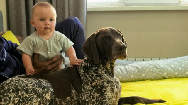 Infant sits beside a German Shorthaired Pointer dog at home, child and pet companionship, gentle interaction, family lifestyle, early friendship.