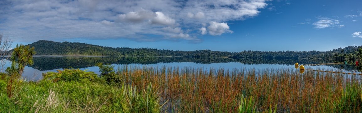 Lake Ianthe, Matahi, spiegelglatte Wasseroberflaeche mit Wolkenspiegelung, Cordyline und Baumfarn im Vordergrund, Westcoast, Suedinsel, Neuseeland