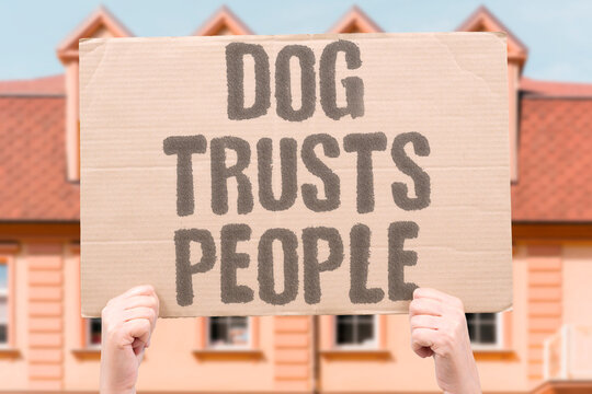 "Dog trusts people" I rely on my pet's instinct to judge others. DOG. INSTINCT. TRUST. JUDGMENT. INTUITION.