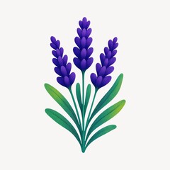 Obraz premium Vibrant lavender botanical illustration