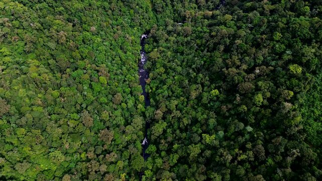 Drone View of Narrow Waterfall Cutting Through Dense Ecuador Rainforest, Green Canopy, Mountain Slope and Remote Andean Amazon Wilderness Scene