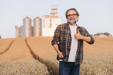 Agronomist holding laptop in wheat field, giving thumbs up, agricultural silos in background, smart farming © anatoliycherkas