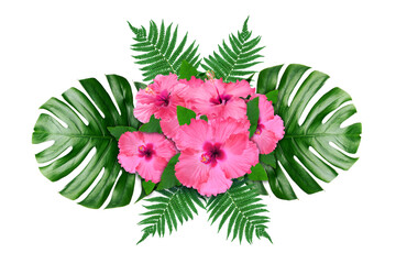 Hibiscus flowers and green leaves in tropical composition on white background © New Africa
