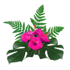 Hibiscus flowers and green tropical leaves on white background © New Africa