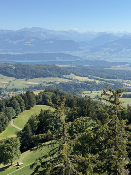 Patchwork Fields and Forest in the Swiss Countryside