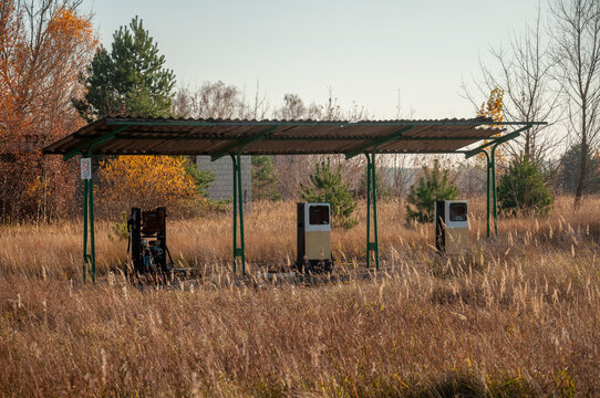 Abandoned old industrial glass greenhouse with dry dead plants and withered crops